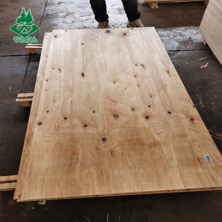 Larch Plywood for Concrete Boards factory