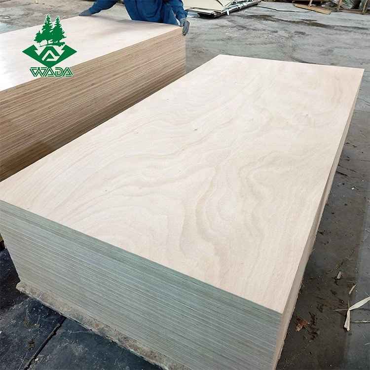 18mm WBP Birch Plywood Waterprood Plywood suppliers