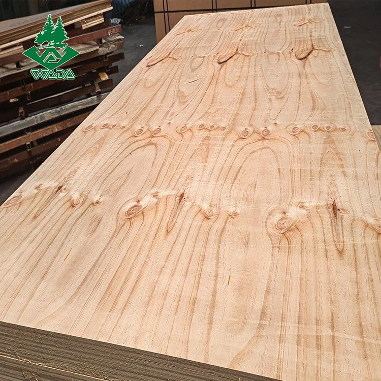 Concrete Construction Plywood suppliers