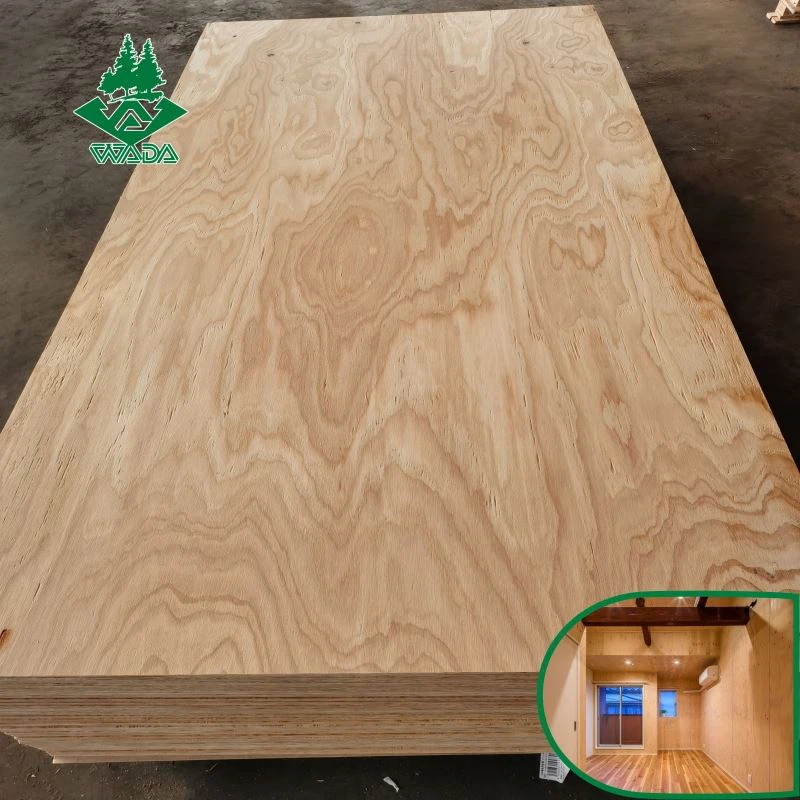 Larch Plywood For Concrete Boards