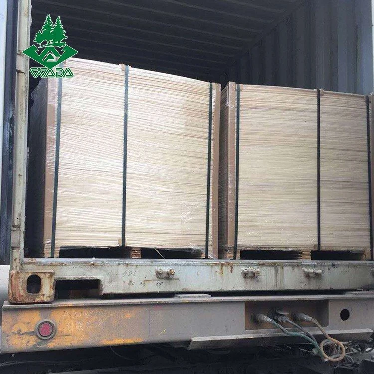 birch plywood (7)