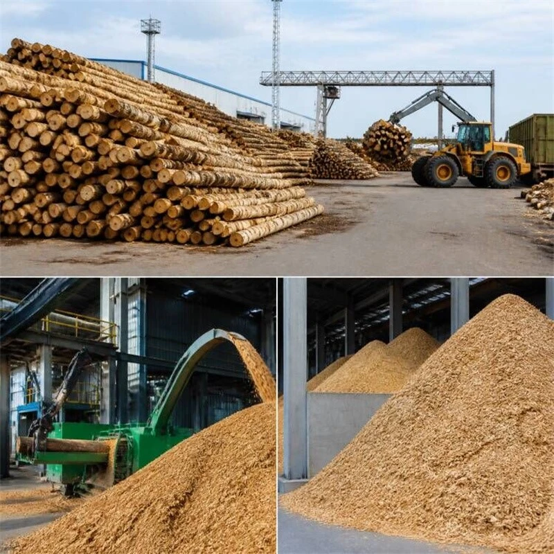 productcate-800-800 productcate-800-800