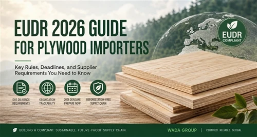 How EUDR Is Reshaping Plywood Imports Into The EU: A 2026 Guide