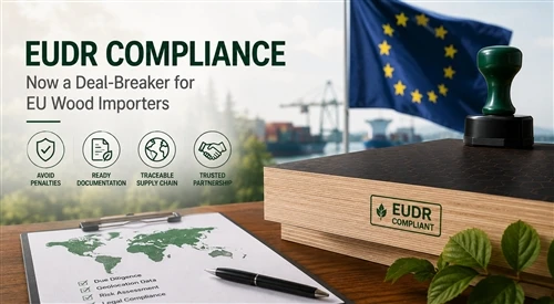 Why EUDR Compliance Is Now A Deal-Breaker For EU Wood Importers