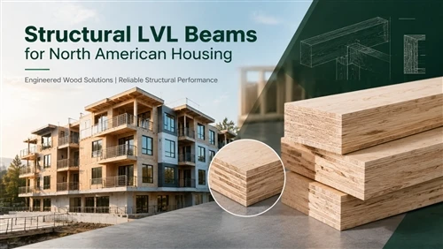 Structural LVL Beams in North American Housing: A Case Study