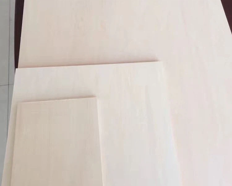 5001 5001